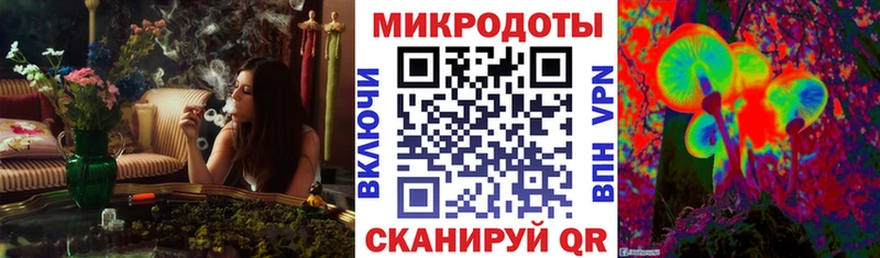 Псилоцибиновые грибы GOLDEN TEACHER  Вольск 